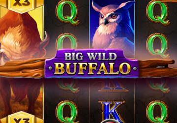 Слот Big Wild Buffalo в Near Casino
